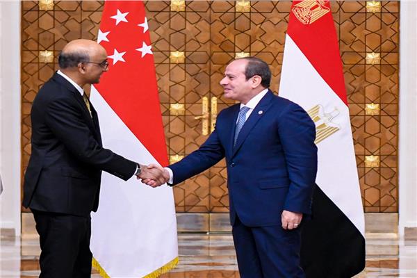 الرئيس السيسي مع نظيره رئيس جمهورية سنغافورة خلال زيارتة إلى القاهرة