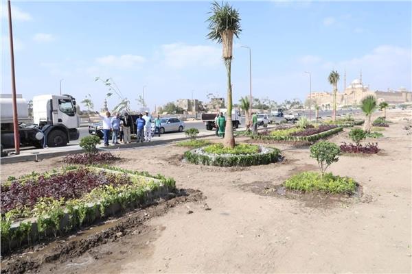 مبادرة" 100 مليون شجرة " بالفيوم