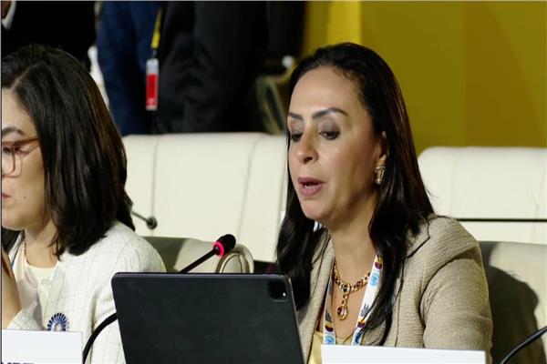  د. مايا مرسي وزيرة التضامن الاجتماعي