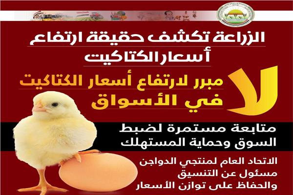 وزار الزراعة: ليس هناك مبرر لارتفاع أسعار «الكتاكيت» في الأسواق