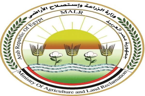 صورة توضيحية