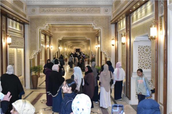 صورة توضيحية