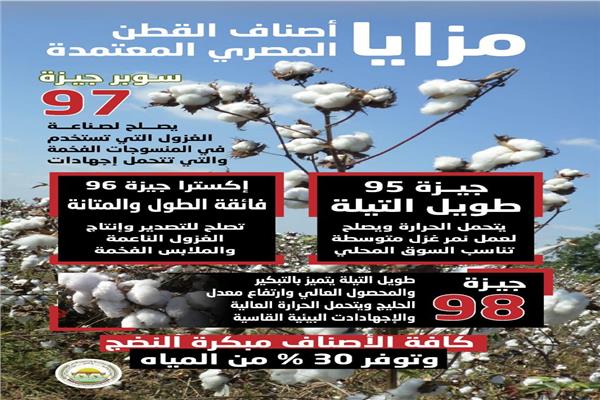خريطة اصناف القطن