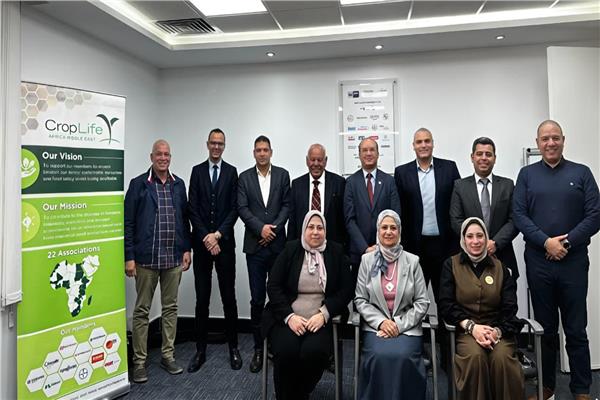 صورة توضيحية