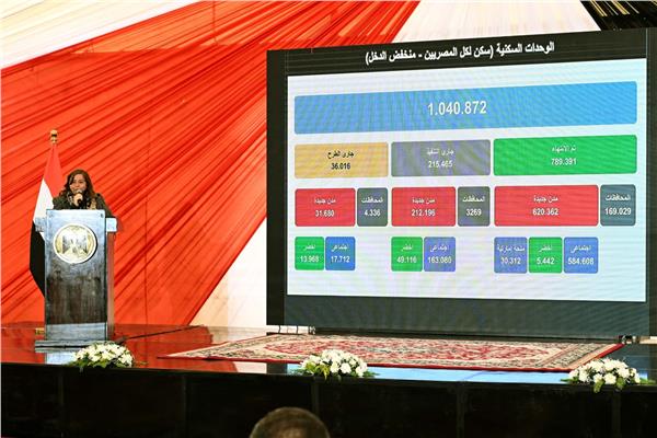 الرئيس التنفيذي لصندوق الإسكان الاجتماعي