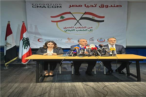 صندوق تحيا مصر