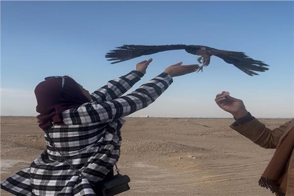 صورة ارشيفية
