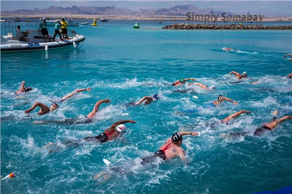بطولة كأس العالم للسباحة في المياه المفتوحة