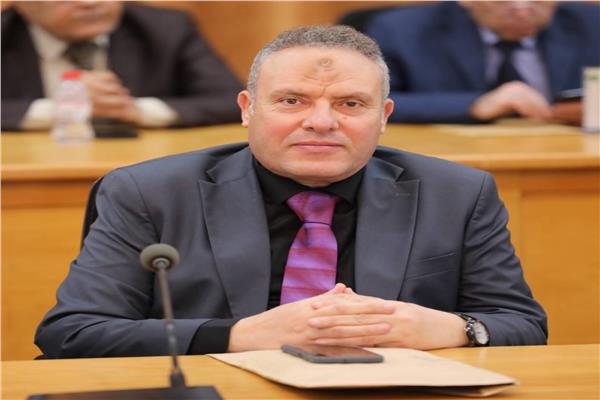 د.محمد حسني الجمل