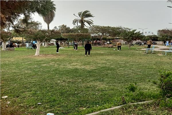 صورة توضيحية