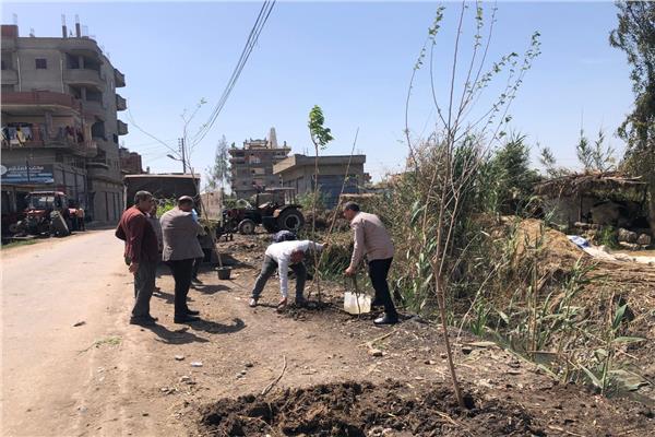المبادرة الرئاسية «100 مليون شجرة»