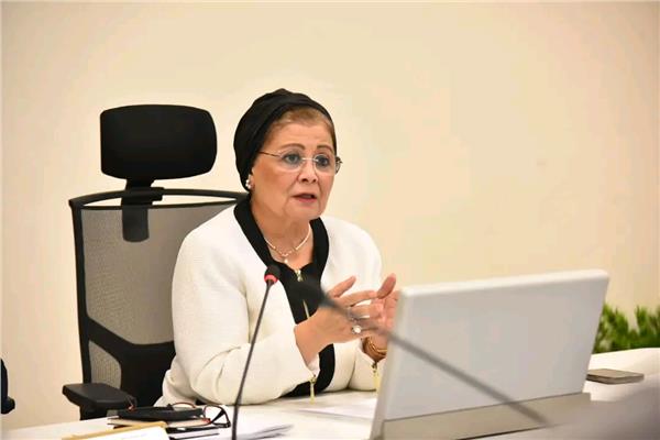 د.عبلة الألفي ،  نائب وزير الصحة