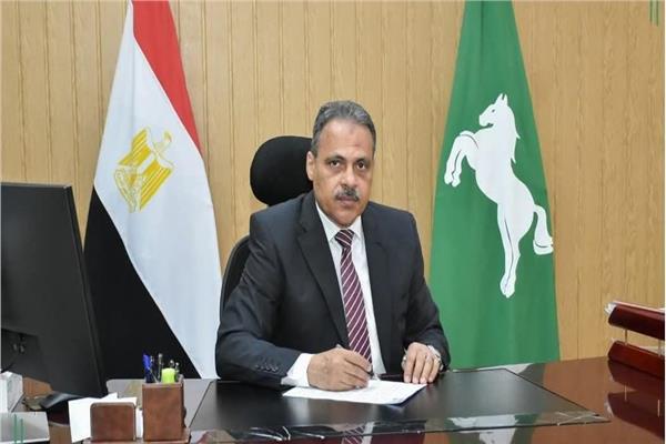 محافظ الشرقية