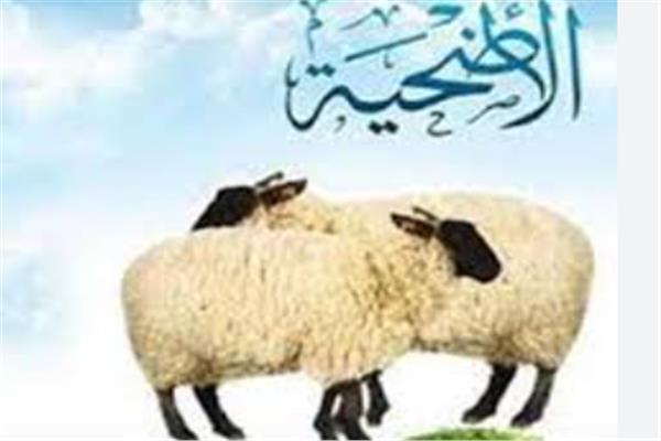 موضوعية