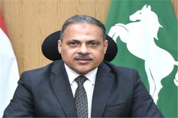 محافظ الشرقية 
