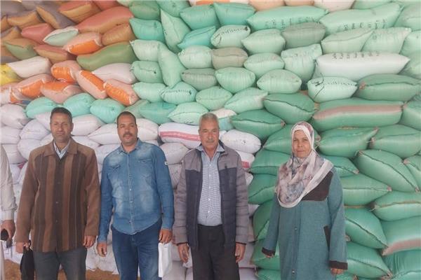 صورة توضيحية