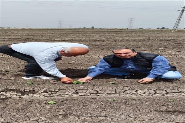 على هامش متابعة زراعة القطن