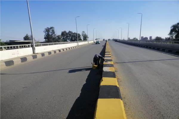 تزيين شوارع دسوق ودهان الأرصفة