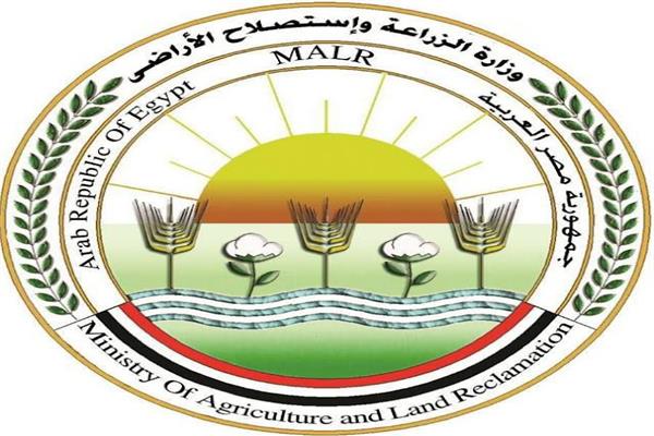صورة توضيحية