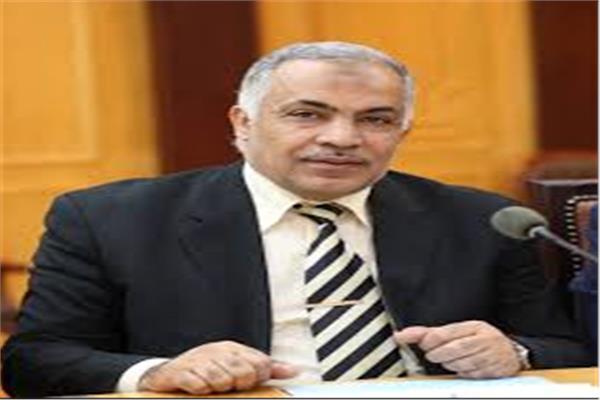 الدكتور رمضان الصاوي نائب رئيس جامعة الأزهر للوجه البحري