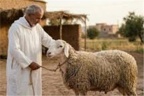 صورة توضيحية