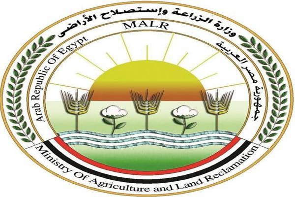 صورة توضيحية