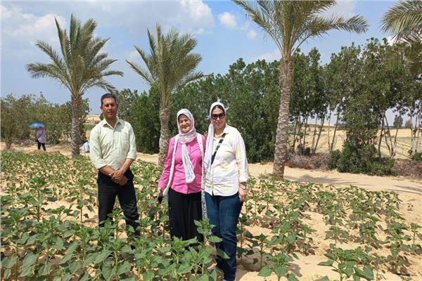 مشرفو البرامج البحثية الزراعية