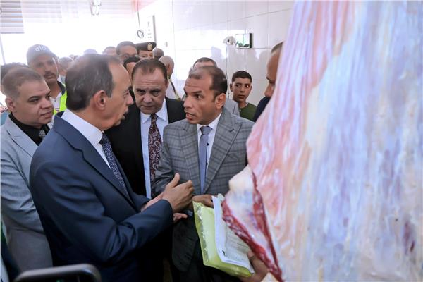 صورة توضيحية