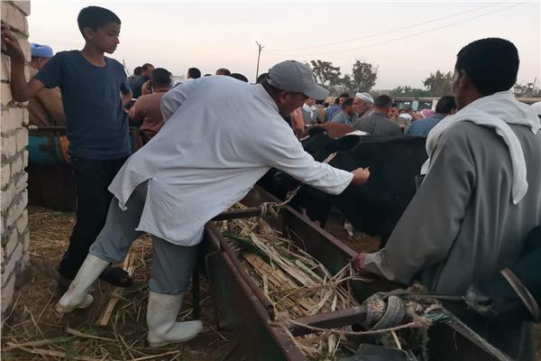 صورة توضيحية