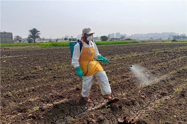 جانب من أعمال المكافحة 
