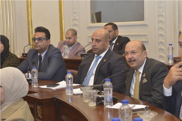 د. عمرو دويدار يحضر لجنة الصحة بالشيوخ