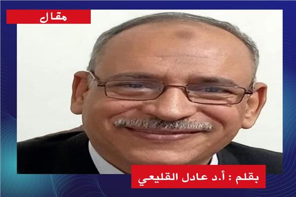 أ.د عادل القليعي