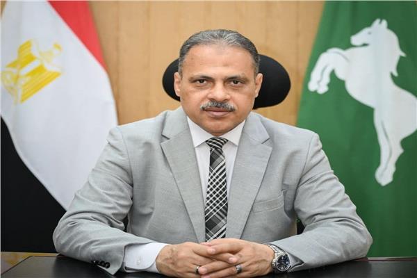 محافظ الشرقية