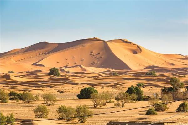 صور توضيحية