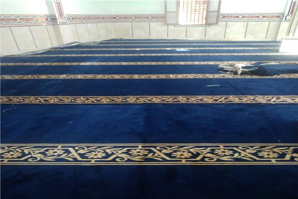 صورة توضيحية 