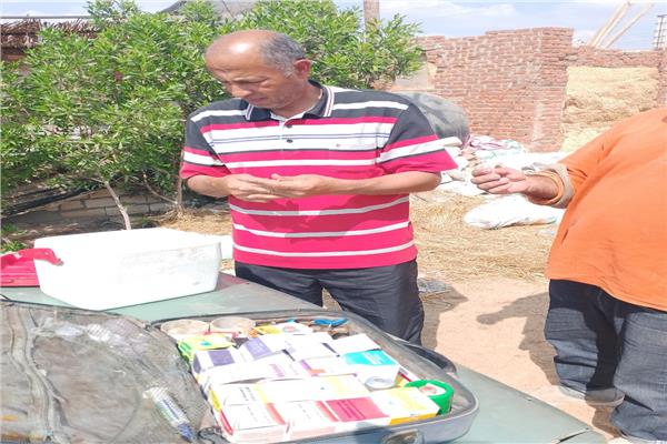 صورة توضيحية