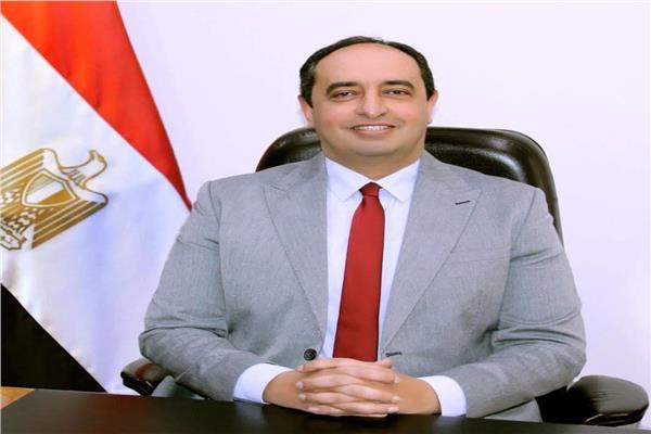 د. عمرو عثمان