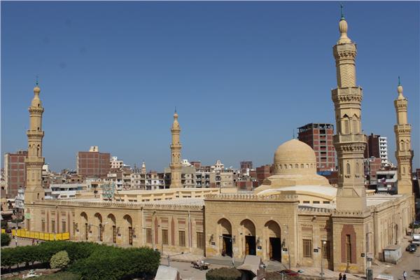 صورة توضيحية 