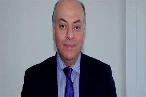 د. محمد المنيسي