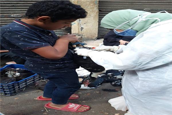 صورة توضيحية