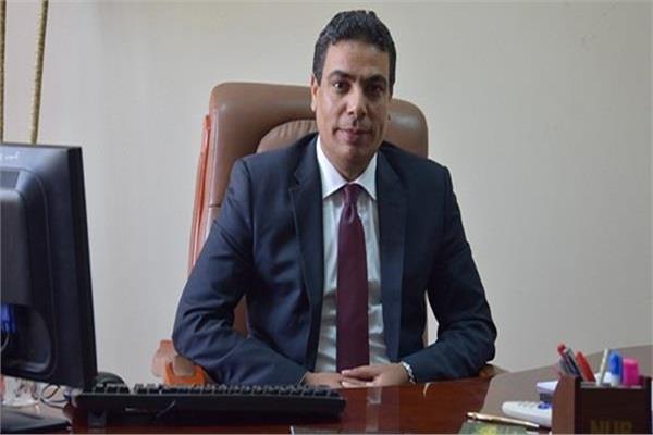 د. عادل عبدالغفار
