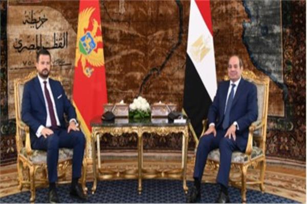جانب من الاستقبال 
