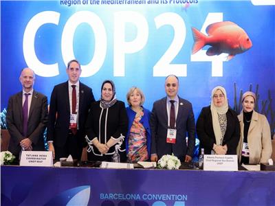 مصر تختتم فعاليات اجتماع اتفاقية برشلونة COP24 