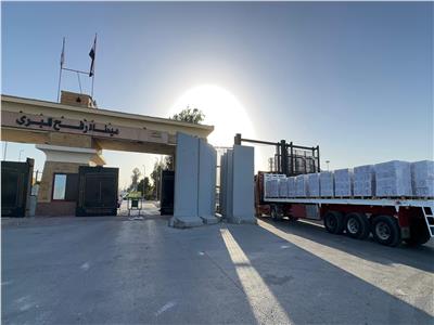 الهلال الأحمر المصري يطلق زاد العزة 208 بحمولة 2700 طن لدعم غزة