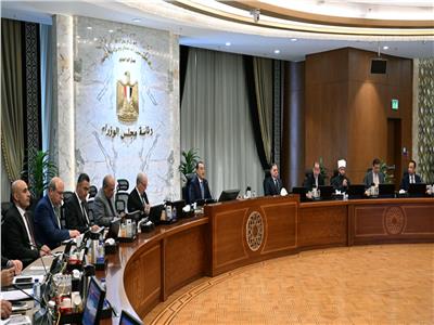 الحكومة: تعديل القواعد التنظيمية للترخيص بالانتفاع بأراضي مشروعات إنتاج الطاقة الكهربائية 