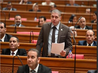 برلمانى: ثورة 23 يوليو محطة فارقة في تاريخ الأمة 