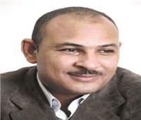 الحكمة الغائبة 