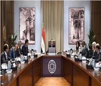 رئيس الوزراء يتابع موقف تنفيذ وتشغيل محطات تحلية المياه في شمال سيناء