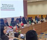 الجامعة العربية تشارك إجتماع تنسيقي للتحالف العالمى لتنفيذ حل الدولتين