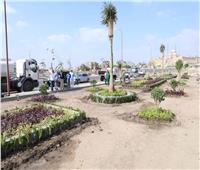 وزيرة التنمية المحلية تعلن انطلاق المرحلة الرابعة من المبادرة الرئاسية "100 مليون شجرة" بمحافظة الفيوم